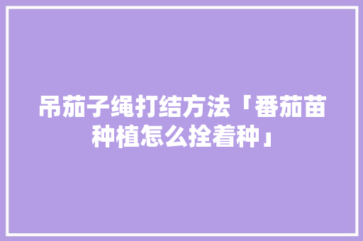 吊茄子绳打结方法「番茄苗种植怎么拴着种」 吊茄子绳打结方法「番茄苗种植怎么拴着种」 农业常识