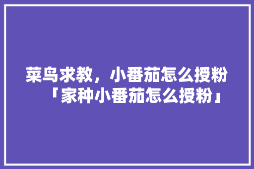 菜鸟求教，小番茄怎么授粉「家种小番茄怎么授粉」