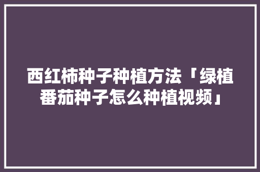 西红柿种子种植方法「绿植番茄种子怎么种植视频」 西红柿种子种植方法「绿植番茄种子怎么种植视频」 种植技巧