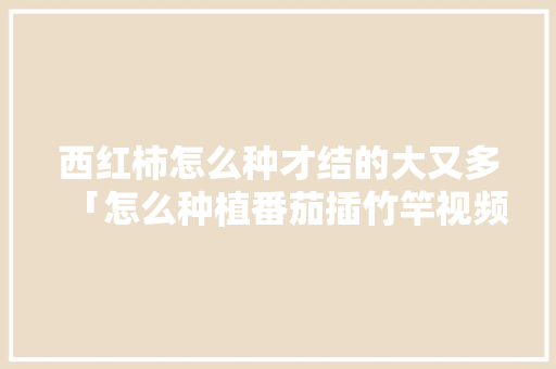 西红柿怎么种才结的大又多「怎么种植番茄插竹竿视频教程」 西红柿怎么种才结的大又多「怎么种植番茄插竹竿视频教程」 农业常识