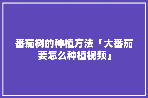 番茄树的种植方法「大番茄要怎么种植视频」 番茄树的种植方法「大番茄要怎么种植视频」 植物种类