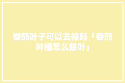 番茄叶子可以去掉吗「番茄种植怎么除叶」 番茄叶子可以去掉吗「番茄种植怎么除叶」 番茄病虫害防治