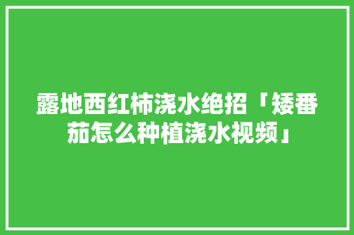 露地西红柿浇水绝招「矮番茄怎么种植浇水视频」 露地西红柿浇水绝招「矮番茄怎么种植浇水视频」 番茄种植技巧
