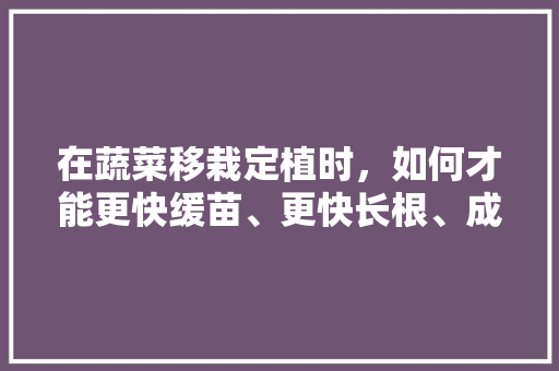在蔬菜移栽定植时，如何才能更快缓苗、更快长根、成活率更高「蔬菜种苗种植技巧和方法视频」 在蔬菜移栽定植时，如何才能更快缓苗、更快长根、成活率更高「蔬菜种苗种植技巧和方法视频」 土壤施肥