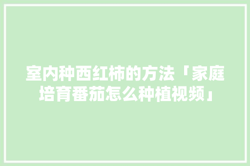 室内种西红柿的方法「家庭培育番茄怎么种植视频」 室内种西红柿的方法「家庭培育番茄怎么种植视频」 土壤施肥
