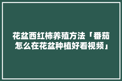 花盆西红柿养殖方法「番茄怎么在花盆种植好看视频」 番茄种植技巧 花盆西红柿养殖方法「番茄怎么在花盆种植好看视频」 花盆西红柿养殖方法「番茄怎么在花盆种植好看视频」 番茄种植技巧