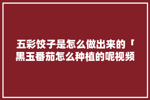 五彩饺子是怎么做出来的「黑玉番茄怎么种植的呢视频」 五彩饺子是怎么做出来的「黑玉番茄怎么种植的呢视频」 番茄病虫害防治