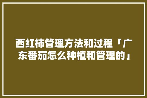 西红柿管理方法和过程「广东番茄怎么种植和管理的」 西红柿管理方法和过程「广东番茄怎么种植和管理的」 番茄病虫害防治