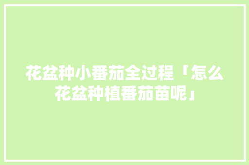 花盆种小番茄全过程「怎么花盆种植番茄苗呢」 花盆种小番茄全过程「怎么花盆种植番茄苗呢」 植物种类