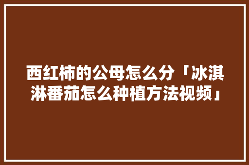 西红柿的公母怎么分「冰淇淋番茄怎么种植方法视频」 西红柿的公母怎么分「冰淇淋番茄怎么种植方法视频」 花朵知识