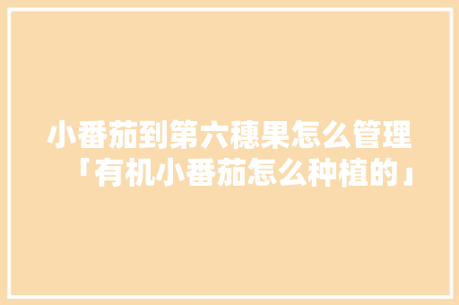 小番茄到第六穗果怎么管理「有机小番茄怎么种植的」 小番茄到第六穗果怎么管理「有机小番茄怎么种植的」 番茄种植技巧
