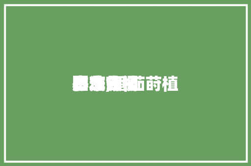 番茄莳植小本领图文,番茄莳植方法步调。 番茄莳植小本领图文,番茄莳植方法步调。 番茄种植技巧