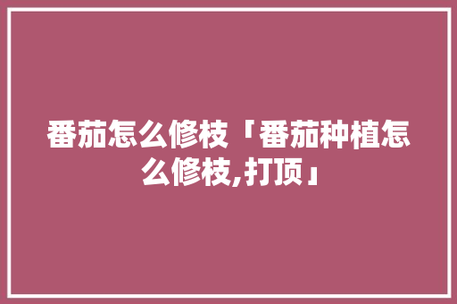 番茄怎么修枝「番茄种植怎么修枝,打顶」