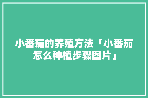 小番茄的养殖方法「小番茄怎么种植步骤图片」 小番茄的养殖方法「小番茄怎么种植步骤图片」 农业常识