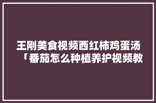 王刚美食视频西红柿鸡蛋汤「番茄怎么种植养护视频教程」 王刚美食视频西红柿鸡蛋汤「番茄怎么种植养护视频教程」 土壤施肥