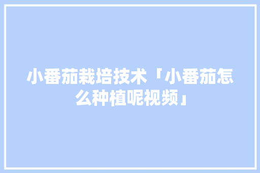 小番茄栽培技术「小番茄怎么种植呢视频」 小番茄栽培技术「小番茄怎么种植呢视频」 番茄种植技巧