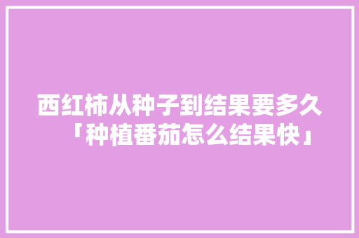 西红柿从种子到结果要多久「种植番茄怎么结果快」 西红柿从种子到结果要多久「种植番茄怎么结果快」 植物种类