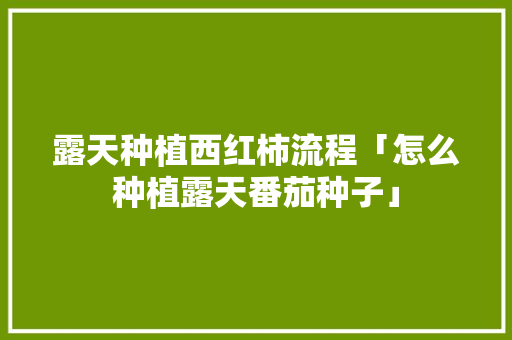 露天种植西红柿流程「怎么种植露天番茄种子」 露天种植西红柿流程「怎么种植露天番茄种子」 番茄病虫害防治
