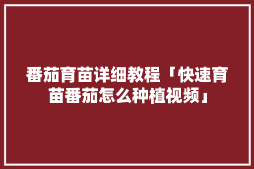 番茄育苗详细教程「快速育苗番茄怎么种植视频」 番茄育苗详细教程「快速育苗番茄怎么种植视频」 农业常识