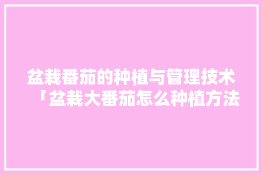 盆栽番茄的种植与管理技术「盆栽大番茄怎么种植方法视频」 盆栽番茄的种植与管理技术「盆栽大番茄怎么种植方法视频」 番茄种植技巧