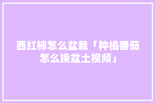 西红柿怎么盆栽「种植番茄怎么换盆土视频」 西红柿怎么盆栽「种植番茄怎么换盆土视频」 农业常识