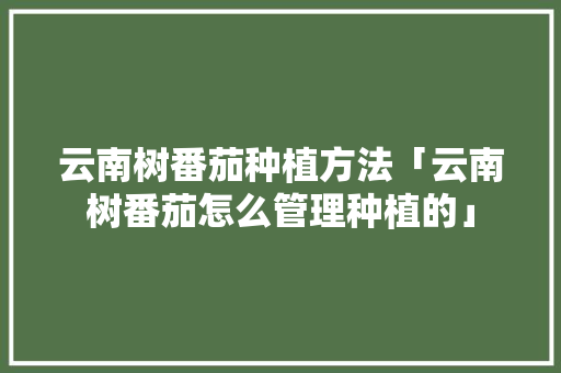 云南树番茄种植方法「云南树番茄怎么管理种植的」 云南树番茄种植方法「云南树番茄怎么管理种植的」 农业常识