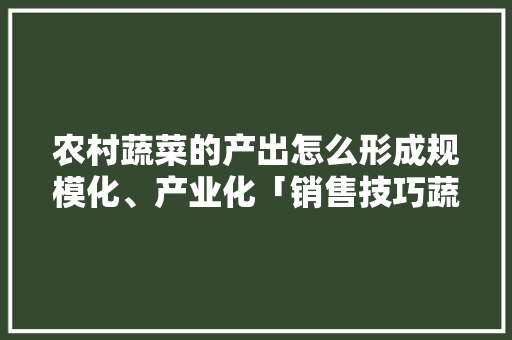 农村蔬菜的产出怎么形成规模化、产业化「销售技巧蔬菜种植图片高清」 农村蔬菜的产出怎么形成规模化、产业化「销售技巧蔬菜种植图片高清」 农业常识