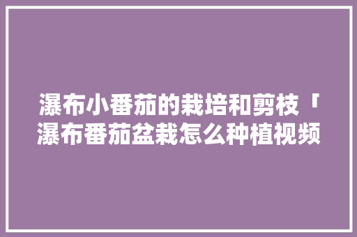 瀑布小番茄的栽培和剪枝「瀑布番茄盆栽怎么种植视频」 番茄病虫害防治 瀑布小番茄的栽培和剪枝「瀑布番茄盆栽怎么种植视频」 瀑布小番茄的栽培和剪枝「瀑布番茄盆栽怎么种植视频」 番茄病虫害防治