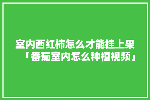 室内西红柿怎么才能挂上果「番茄室内怎么种植视频」 室内西红柿怎么才能挂上果「番茄室内怎么种植视频」 番茄病虫害防治
