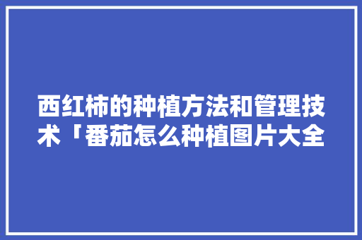 西红柿的种植方法和管理技术「番茄怎么种植图片大全」 西红柿的种植方法和管理技术「番茄怎么种植图片大全」 种植技巧