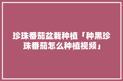 珍珠番茄盆栽种植「种黑珍珠番茄怎么种植视频」 农业常识 珍珠番茄盆栽种植「种黑珍珠番茄怎么种植视频」 珍珠番茄盆栽种植「种黑珍珠番茄怎么种植视频」 农业常识
