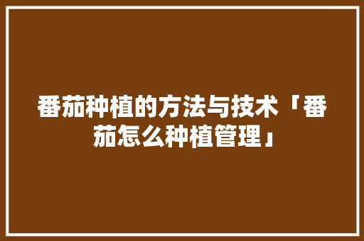 番茄种植的方法与技术「番茄怎么种植管理」