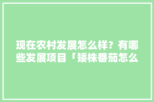 现在农村发展怎么样？有哪些发展项目「矮株番茄怎么种植视频」 现在农村发展怎么样？有哪些发展项目「矮株番茄怎么种植视频」 番茄种植技巧