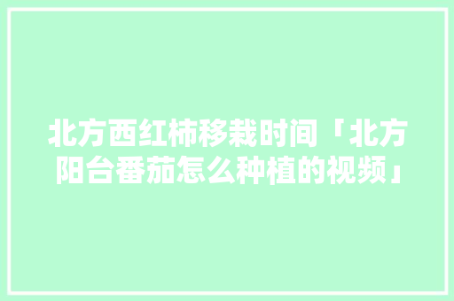 北方西红柿移栽时间「北方阳台番茄怎么种植的视频」 北方西红柿移栽时间「北方阳台番茄怎么种植的视频」 花朵知识