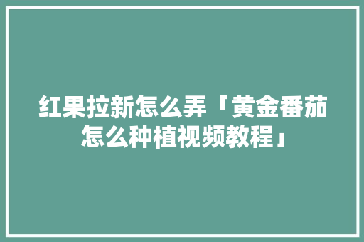 红果拉新怎么弄「黄金番茄怎么种植视频教程」 红果拉新怎么弄「黄金番茄怎么种植视频教程」 土壤施肥