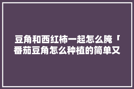 豆角和西红柿一起怎么腌「番茄豆角怎么种植的简单又好吃」 豆角和西红柿一起怎么腌「番茄豆角怎么种植的简单又好吃」 花朵知识