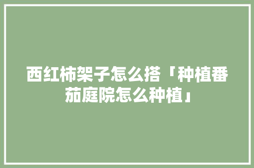西红柿架子怎么搭「种植番茄庭院怎么种植」