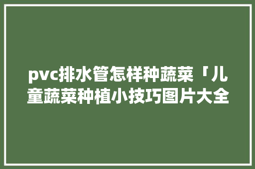 pvc排水管怎样种蔬菜「儿童蔬菜种植小技巧图片大全」 番茄种植技巧 pvc排水管怎样种蔬菜「儿童蔬菜种植小技巧图片大全」 pvc排水管怎样种蔬菜「儿童蔬菜种植小技巧图片大全」 番茄种植技巧