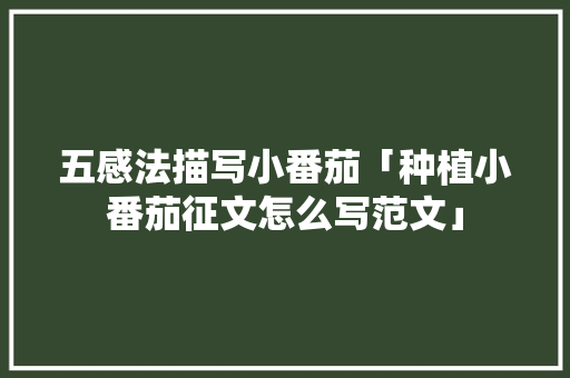 五感法描写小番茄「种植小番茄征文怎么写范文」 五感法描写小番茄「种植小番茄征文怎么写范文」 农业常识