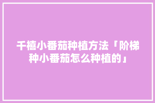 千禧小番茄种植方法「阶梯种小番茄怎么种植的」 千禧小番茄种植方法「阶梯种小番茄怎么种植的」 花朵知识