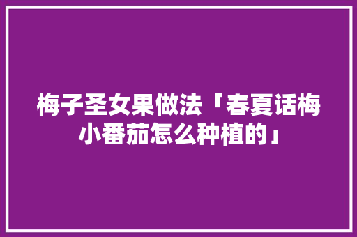 梅子圣女果做法「春夏话梅小番茄怎么种植的」 梅子圣女果做法「春夏话梅小番茄怎么种植的」 种植技巧