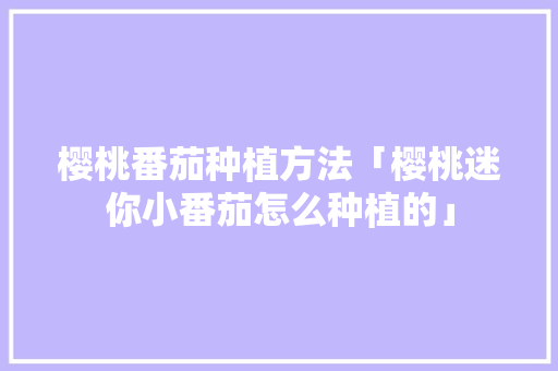 樱桃番茄种植方法「樱桃迷你小番茄怎么种植的」 樱桃番茄种植方法「樱桃迷你小番茄怎么种植的」 花朵知识