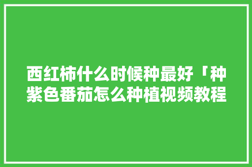 西红柿什么时候种最好「种紫色番茄怎么种植视频教程」 西红柿什么时候种最好「种紫色番茄怎么种植视频教程」 番茄病虫害防治