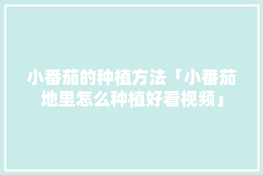 小番茄的种植方法「小番茄地里怎么种植好看视频」 小番茄的种植方法「小番茄地里怎么种植好看视频」 番茄病虫害防治