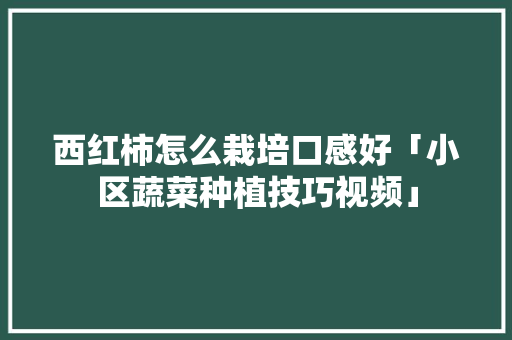 西红柿怎么栽培口感好「小区蔬菜种植技巧视频」 西红柿怎么栽培口感好「小区蔬菜种植技巧视频」 农业常识