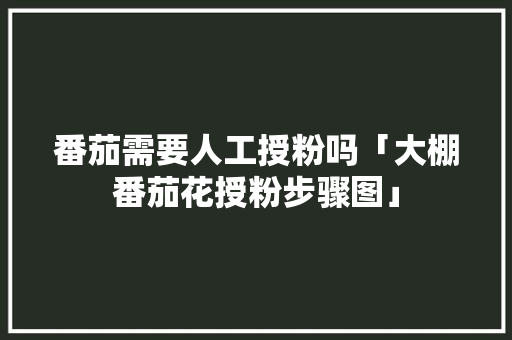 番茄需要人工授粉吗「大棚番茄花授粉步骤图」 番茄需要人工授粉吗「大棚番茄花授粉步骤图」 土壤施肥
