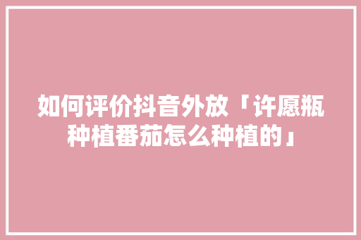 如何评价抖音外放「许愿瓶种植番茄怎么种植的」