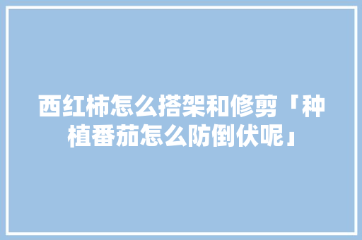 西红柿怎么搭架和修剪「种植番茄怎么防倒伏呢」 西红柿怎么搭架和修剪「种植番茄怎么防倒伏呢」 土壤施肥