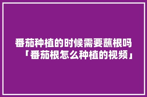 番茄种植的时候需要蘸根吗「番茄根怎么种植的视频」 番茄种植的时候需要蘸根吗「番茄根怎么种植的视频」 植物种类