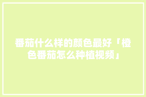 番茄什么样的颜色最好「橙色番茄怎么种植视频」 番茄什么样的颜色最好「橙色番茄怎么种植视频」 农业常识